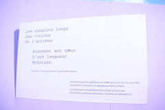dscn4447